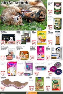 Katzenfutter im GLOBUS Prospekt "Aktuelle Angebote" mit 25 Seiten (Salzgitter)