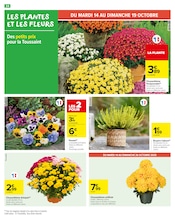 Chrysanthèmes Angebote im Prospekt "VENEZ GOÛTER AU MEILLEUR POUR DE BON !" von Carrefour Market Chrysanthèmes Angebote im Prospekt "VENEZ GOÛTER AU MEILLEUR POUR DE BON !" von Carrefour Market auf Seite 26