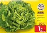 Kopfsalat im aktuellen Netto Marken-Discount Prospekt