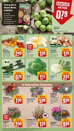 Blumen im REWE Prospekt in Hanau Aktueller REWE Prospekt mit Blumen, "Dein Markt", Seite 11