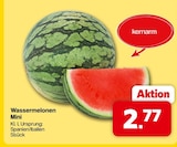 famila Nordwest Alfstedt - Wassermelonen Mini Angebot im Prospekt Wassermelonen Mini bei famila Nordwest im Alfstedt Prospekt für 2,77 €