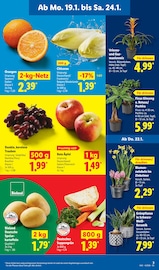 Aktueller Lidl Prospekt mit Bio, "LIDL LOHNT SICH", Seite 5