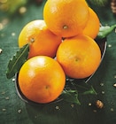 Promo Orange Feuille à 1,87 € dans le catalogue Intermarché Super à Mainvilliers