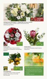 Schnittblumen im Pflanzen Kölle Prospekt Schnittblumen im Pflanzen Kölle Prospekt "GROSSER WEIHNACHTSBAUM-VERKAUF" auf Seite 7