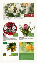 Deko-Blumen Angebote im Prospekt "GROSSER WEIHNACHTSBAUM-VERKAUF" von Pflanzen Kölle auf Seite 7
