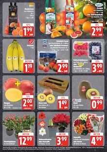 Kiwi Angebot im aktuellen EDEKA Prospekt auf Seite 5