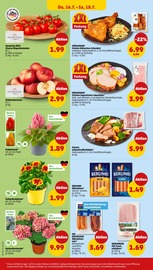 Ähnliche Winterling Angebote im Prospekt "Wer günstig will, muss Penny." von Penny Ähnliches Angebot bei Penny in Prospekt "Wer günstig will, muss Penny." gefunden auf Seite 24