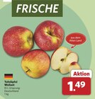 Tafeläpfel Wellant bei combi im Marsberg Prospekt für 1,49 €