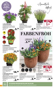 Gartenpflanzen im Dehner Garten-Center Prospekt "So duftet der Sommer!" mit 16 Seiten (Solingen (Klingenstadt))