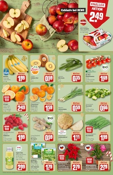 Saft im aktuellen REWE Prospekt (Oldenburg) Saft im REWE Prospekt "Dein Markt" mit 24 Seiten (Oldenburg)