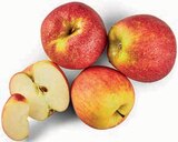 Aktuelle Äpfel Angebote bei nah&frisch in Münster Aktuelles Tafeläpfel Wellant Angebot bei nah&frisch in Münster ab 1,44 €