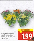 Aktuelles Chrysanthemen Angebot bei E center in Berlin ab 1,99 €