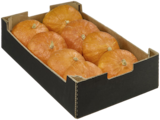 Aktuelles Bio Kürbis Hokkaido Angebot bei METRO in Koblenz