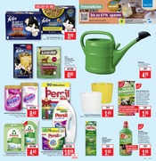 Felix Katzenfutter im Marktkauf Prospekt in Maintal Aktueller Marktkauf Prospekt mit Felix Katzenfutter, "Aktuelle Angebote", Seite 27