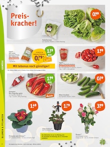 Tomaten im tegut Prospekt "tegut… gute Lebensmittel" mit 23 Seiten (Frankfurt (Main))