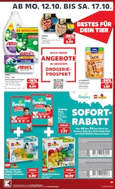 Tierbedarf im Kaufland Prospekt in Oldenburg Aktueller Kaufland Prospekt mit Tierbedarf, "Hier bin ich richtig", Seite 39