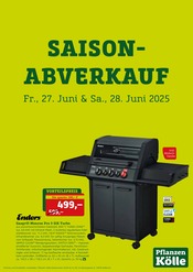 Grill im Pflanzen Kölle Prospekt in Nürnberg Aktueller Pflanzen Kölle Prospekt mit Grill, "SAISON ABVERKAUF", Seite 1