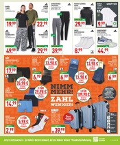 Aktueller Marktkauf Prospekt mit Pullover, "Aktuelle Angebote", Seite 19