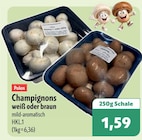 aktiv & irma Wardenburg Prospekt mit  im Angebot für 1,59 €