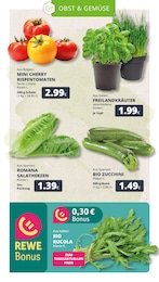 Pflanzen Angebot im aktuellen REWE Prospekt auf Seite 9