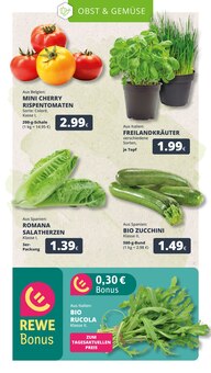 Zucchini im REWE Prospekt "Dein Markt" mit 25 Seiten (Köln)