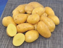 Kartoffeln bei K+K - Klaas & Kock in Bielefeld Kartoffeln im Angebot bei K+K - Klaas & Kock Bielefeld für 1,99 €
