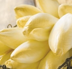 Promo Endive à 1,89 € dans le catalogue Intermarché à Vauvert
