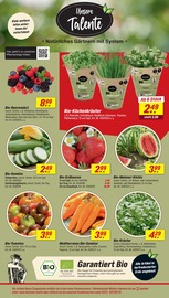 Aktueller toom Baumarkt Prospekt mit Bio, "Respekt, wer's selber macht.", Seite 6