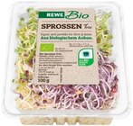 Sprossen Trio im Angebot bei REWE in Meerbusch Sprossen Trio Angebote von REWE Bio bei REWE Meerbusch für 1,19 €