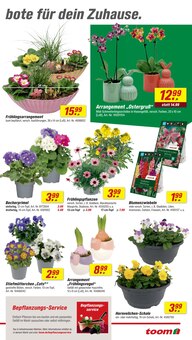 Orchidee im aktuellen toom Baumarkt Prospekt (München) Orchidee im toom Baumarkt Prospekt "Respekt, wer's selber macht." mit 26 Seiten (München)