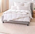 Bettdecke im Segmüller Prospekt Ganzjahresbett von billerbeck im aktuellen Segmüller Prospekt für 69,99 €