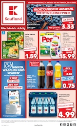 Aktueller Kaufland Prospekt (Berkatal) Kaufland Prospekt mit 50 Seiten (Berkatal)