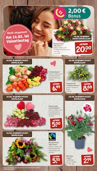 Tulpen im nahkauf Prospekt "nichts liegt näher" mit 12 Seiten (Karlsruhe)