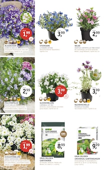 Pflanzen im aktuellen ROSENGUT Langerwisch Prospekt (Potsdam) Pflanzen im ROSENGUT Langerwisch Prospekt "FRÜHLINGSBLÜHER!" mit 12 Seiten (Potsdam)