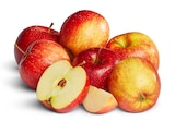 Penny Pesterwitz - rote Äpfel Angebot im Prospekt rote Äpfel bei Penny im Pesterwitz Prospekt für 1,49 €