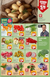 Ähnliche Zitronenbaum Angebote im Prospekt "Dein Markt" von REWE in Frankfurt Ähnliche Angebote wie Zitronenbaum im Prospekt "Dein Markt" auf Seite 11 von REWE in Frankfurt