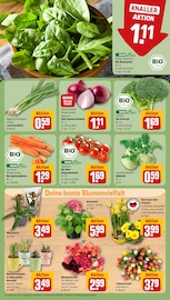Blumenzwiebeln Angebote im Prospekt "Dein Markt" von REWE auf Seite 7