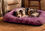 Couchage Ovaly - COMPAGNIE DES PETS FOOD en promo chez Maxi Zoo Couchage Ovaly - COMPAGNIE DES PETS FOOD dans le catalogue Maxi Zoo