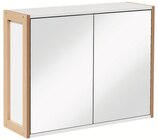Aktuelles Spiegelschrank Campinas Angebot bei Wreesmann in Dresden ab 34,99 €