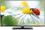Aktuelle Fernseher Angebote bei expert in Gotha Aktuelles 43 LED 5241 B Angebot bei expert in Gotha ab 279,00 €