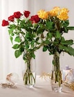 Bouquet 7 roses 50 cm en promo chez Intermarché Colmar à 5,99 €