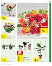 Chrysanthèmes Angebote im Prospekt "LE MOIS DES MOIS" von Carrefour auf Seite 31