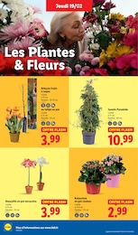Offre Aménagement Extérieur dans le catalogue Lidl du moment à la page 28