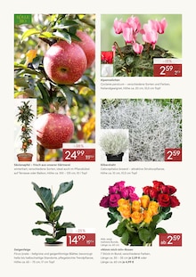 Prospekt der Woche "Bis zu 53% sparen in Wiesbaden" Seite 2, 05.10.2026 bis 11.10.2026 für Wiesbaden Aktueller Prospekt "Bis zu 53% sparen in Wiesbaden" Seite 2 von 4 Seiten für Wiesbaden