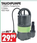 Aktuelle Pflege Angebote bei Wreesmann in Dresden Aktuelles TAUCHPUMPE Angebot bei Wreesmann in Dresden ab 29,99 €