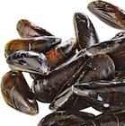 Meeresfruechte im METRO Prospekt Miesmuscheln von Pro Trace im aktuellen METRO Prospekt für 2,74 €