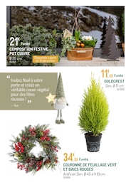 Prix et réduction Couronne Noël dans le prospectus Botanic en cours Offre Couronne Noël dans le catalogue Botanic du moment à la page 16