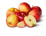 Rote Äpfel bei Penny-Markt im Teuchern Prospekt für 1,69 €