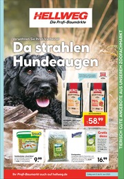 Tierbedarf Angebot & Preis im aktuellen Hellweg Prospekt Tierbedarf Angebot im aktuellen Hellweg Prospekt auf Seite 13