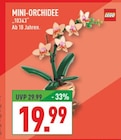 MINI-ORCHIDEE im Angebot bei Marktkauf in Gelsenkirchen MINI-ORCHIDEE Angebote von LEGO bei Marktkauf Gelsenkirchen für 19,99 €